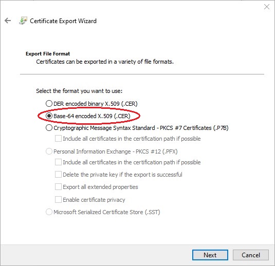 Chrome file export format