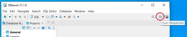 DBeaver open Perspective list